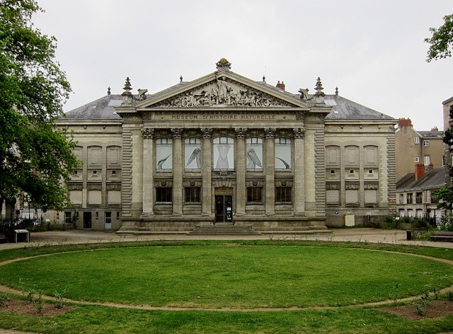 Muséum d'Histoire naturelle Nantes